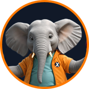 elephant80812